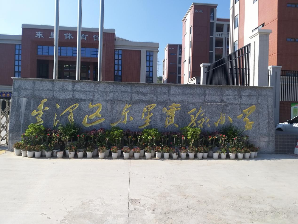 东星小学图片