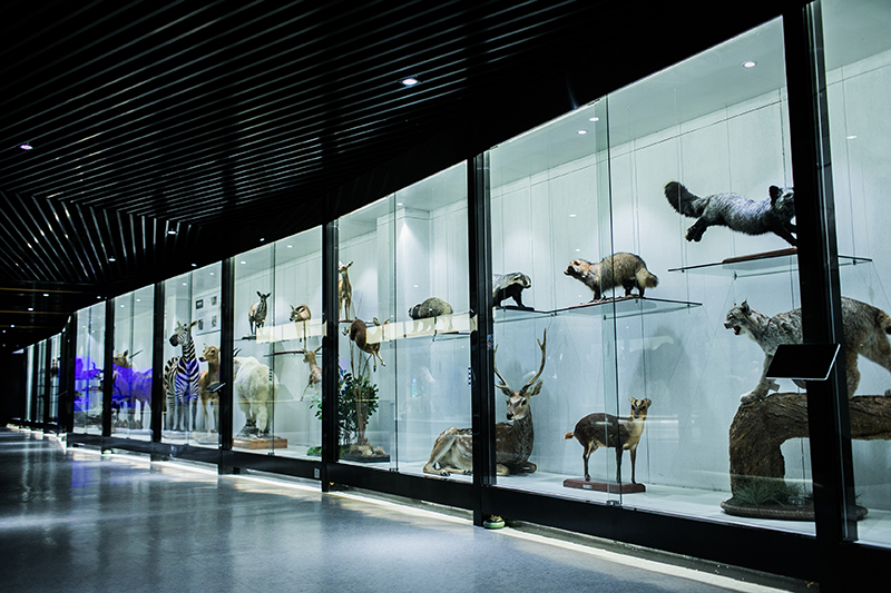 福建省教育装备展示馆标本分馆揭牌仪式在恒达教育装备工程有限公司